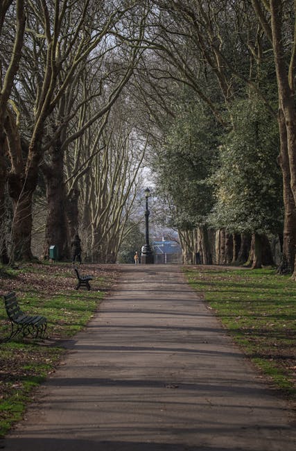 A paved pathway within Dulwich Park, lined with leafless, arching trees on both sides, leading to a distant lamppost and a small building in the background. The park features green grass on either side of the walkway, with park benches positioned along the edges. The scene is illuminated by soft natural light, suggesting a cloudy or overcast day. Although not directly related to house removals, this tranquil park setting is visible on the Dulwich Park Furniture Removals page near Dulwich Picture Gallery, with [COMPANY_NAME] occasionally supporting furniture transport and loading processes during home relocation or moving services in the Dulwich area.